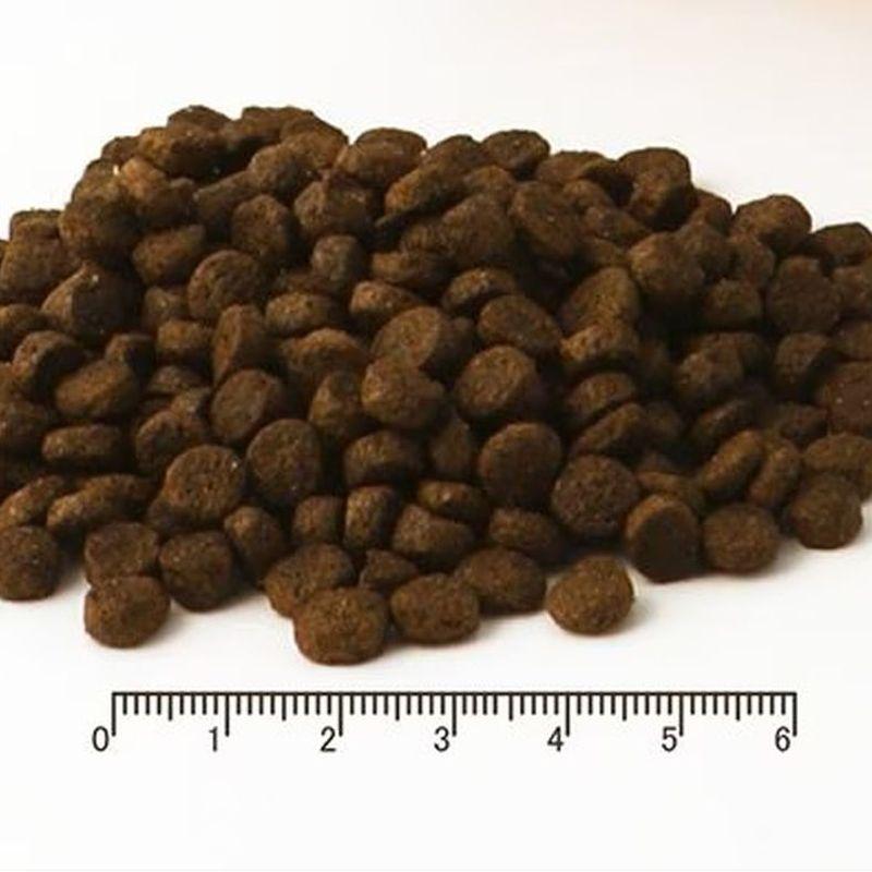 最短賞味2027.12.22・フィッシュ4ドッグ スーペリア ウェイトコントロール 小粒 400g肥満シニア犬用FISH4DOGS 正規品f480406 | フィッシュ4 | 01