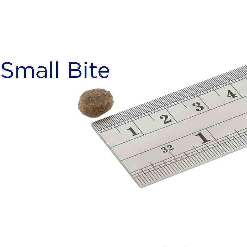 最短賞味2027.6.3・フィッシュ4ドッグ サーモン 小粒 1.5kg 成犬シニア犬 穀物不使用ドッグフードFISH4DOGS正規品f4d07726 | フィッシュ4 | 01