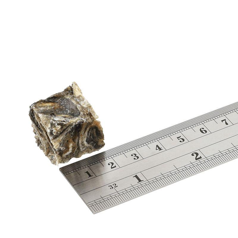 最短賞味2027.11・フィッシュ4ドッグ シージャーキー ティドラー 115g犬用おやつFISH4DOGS 正規品f4d11242 | フィッシュ4 | 02