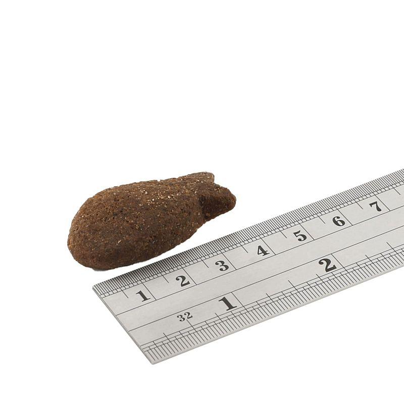 最短賞味2027.5・フィッシュ4ドッグ サポートトリーツ 皮膚・被毛ケア 225g 犬用おやつ 正規品 f4d22422 | フィッシュ4 | 02