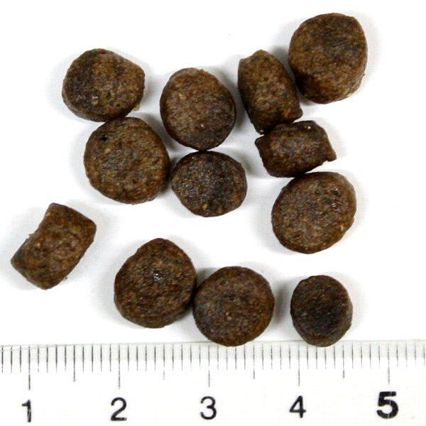 最短賞味2027.6.12・フィッシュ4ドッグ スーペリア アダルト 小粒3kg(1.5kg×2)成犬シニア犬対応 穀物不使用ドライFISH4DOGS正規品f4d26304s2_1