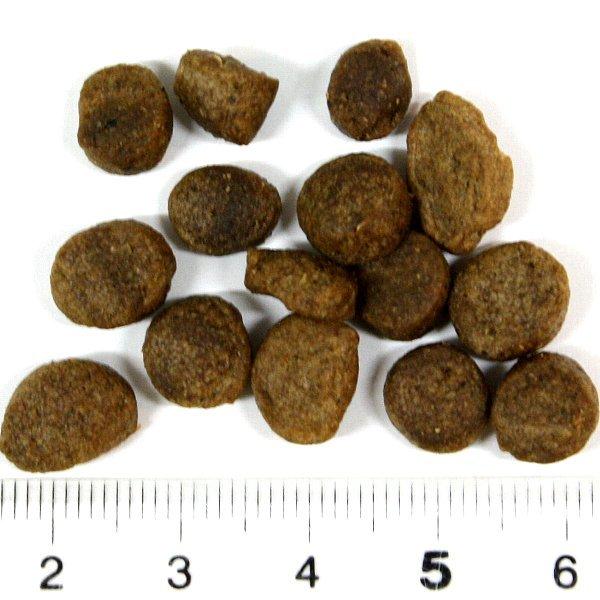最短賞味2027.10.27・フィッシュ4ドッグ スーペリア ウェイトコントロール 小粒3kg(1.5kg×2個)肥満シニア犬用FISH4DOGS正規品f4d26786s2_1