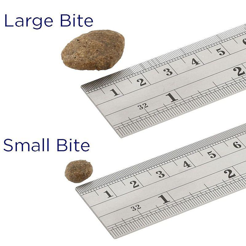 最短賞味2027.4.29・フィッシュ4ドッグ サーモン 大粒 3kg成犬シニア犬用グレインフリー ドッグフードFISH4DOGS正規品f4d80062 | フィッシュ4 | 01