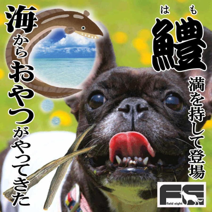 最短賞味2026.10・フィールドエイト ハモしっぽカットスティック50g 犬猫用おやつ 国産 無添加 fehamoc50 |  | 05