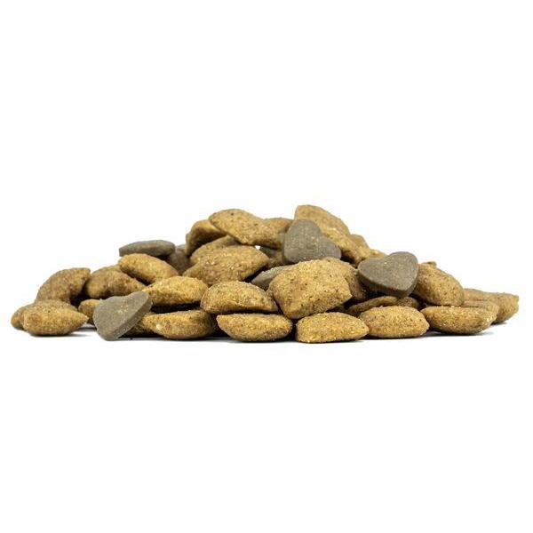 SALE/おまけ付き！最短賞味2027.2・フォルツァ10 犬ミディアム デルモ アクティブ中粒 10kg+(小粒250g2個付き)fo14243皮膚・被毛ケア 正規品 | FORZA10 | 03