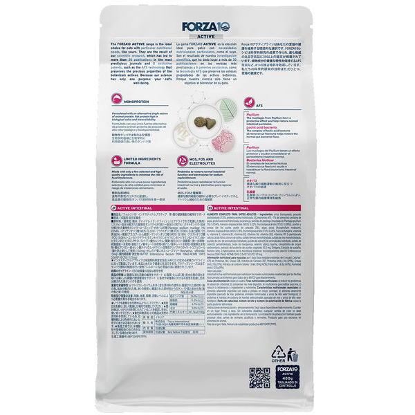 最短賞味2026.9・フォルツァ10 猫 インテスティナル アクティブ400g fo14359猫用療法食 胃腸ケアFORZA10正規品 | FORZA10 | 02