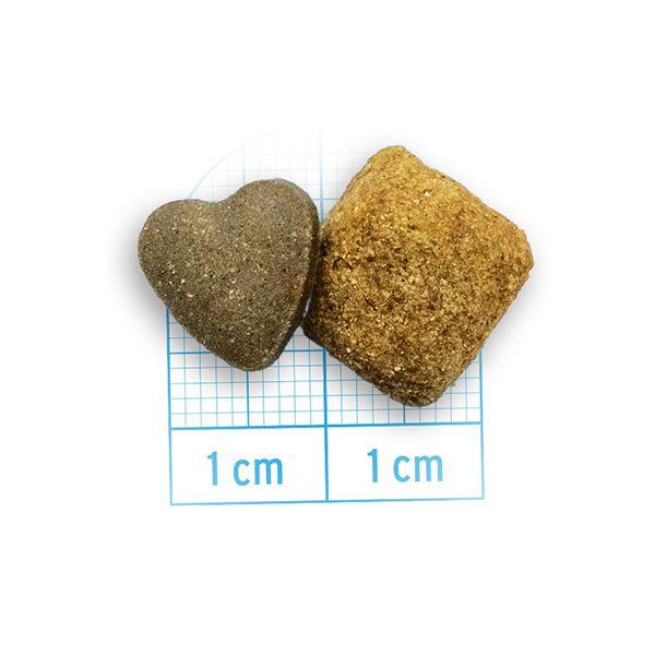 最短賞味2026.10・フォルツァ10 犬ミディアム エコー アクティブ中粒 4kg fo14373耳管・外耳ケアFORZA10正規品 | FORZA10 | 01