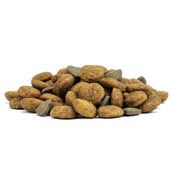 最短賞味2026.10・フォルツァ10 犬ミ二 エコー アクティブ小粒 1.5kg fo14458耳管・外耳ケアFORZA10正規品 | FORZA10 | 03