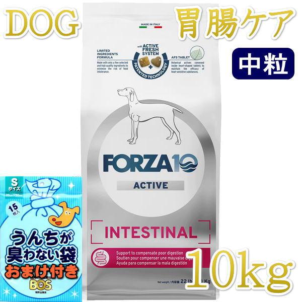 SALE/おまけ付き！最短賞味2026.10・フォルツァ10 犬ミディアム インテシティナル アクティブ中粒 10kg＋(小粒250g2個付き)fo14496胃腸ケア 正規品 | FORZA10