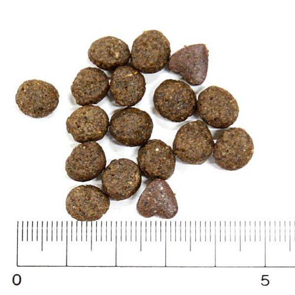 最短賞味2026.10・フォルツァ10 犬ミ二 エコー アクティブ小粒 250g fo72261耳管・外耳ケアFORZA10正規品 | FORZA10 | 01