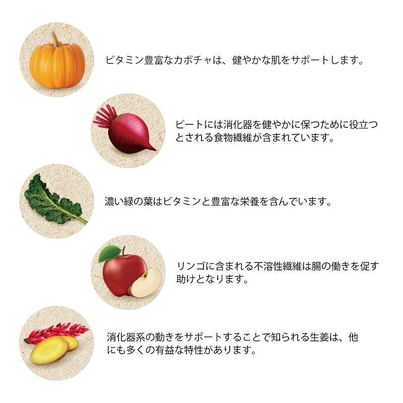 最短賞味2026.8・グランマ・ルーシーズ 犬猫用パンプキンパウチ ダイジェスティブ 170g 胃腸ケア/お野菜サプリGrandma Lucy's正規品gl28111 |  | 02