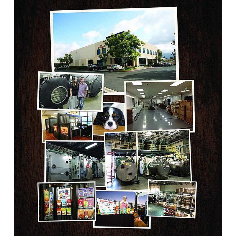 最短賞味2026.8・グランマ・ルーシーズ 犬猫用パンプキンパウチ ダイジェスティブ 170g 胃腸ケア/お野菜サプリGrandma Lucy's正規品gl28111 |  | 06