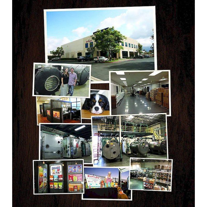 最短賞味2026.8・グランマ・ルーシーズ 犬猫用パンプキンパウチ インフラメーション 170g 関節ケア/お野菜サプリGrandma Lucy's正規品gl28128 |  | 06