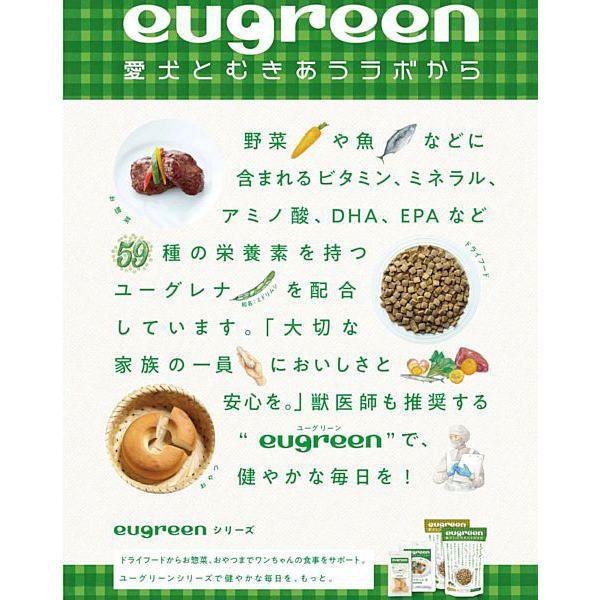最短賞味2027.5・阪急ハロードッグ eugreen キューブクッキー（カボチャ）30g犬用おやつユーグレナ配合hd02470/139666 |  | 03