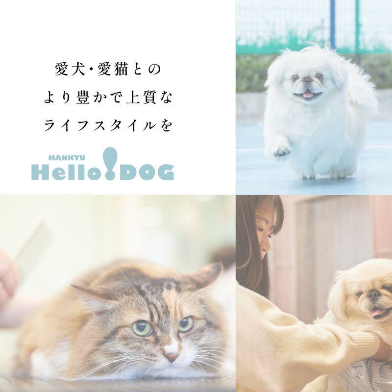 最短賞味2027.5・阪急ハロードッグ Hello Tree Time 国産鹿肉のキューブ 25g犬用おやつhd27886 |  | 06