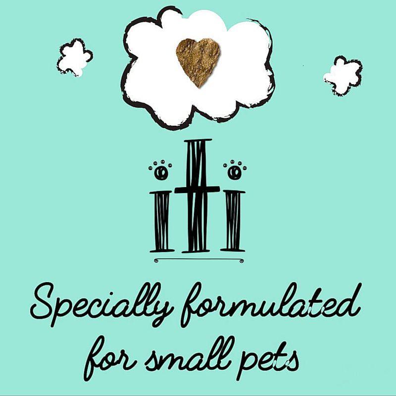 最短賞味2026.11・iti イティ キャット ラム＆ベニソン缶 85g 全年齢猫用総合栄養食it47777※在庫限り終売 | イティ | 04