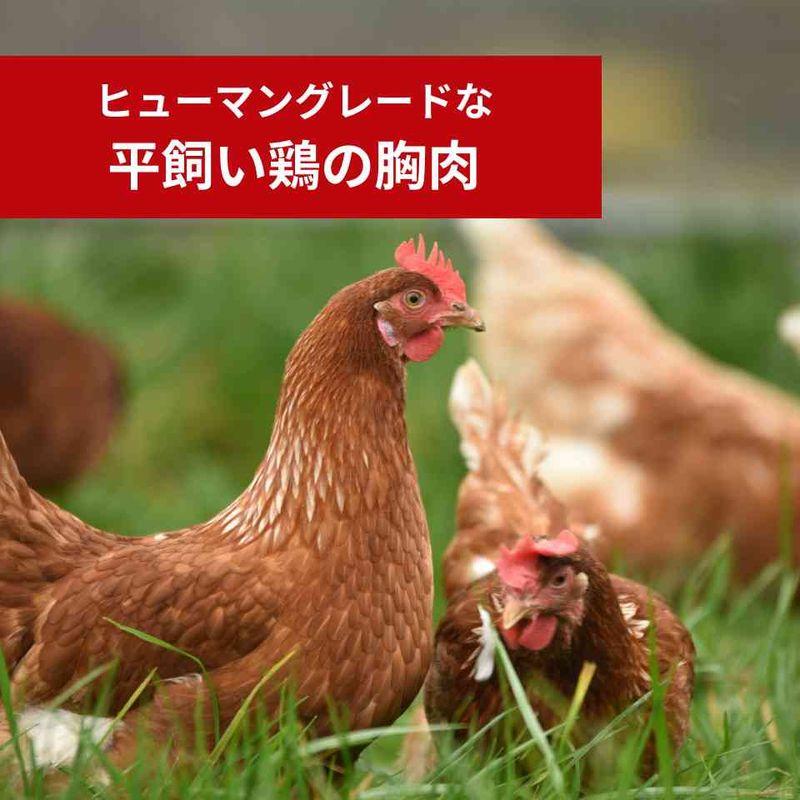NEW 最短賞味2027.2.1・ケリーアンドコー猫フリーズドライ ふりかけ チキンブレスト 50g猫用kec00527/Kelly＆Co’s正規品 |  | 04
