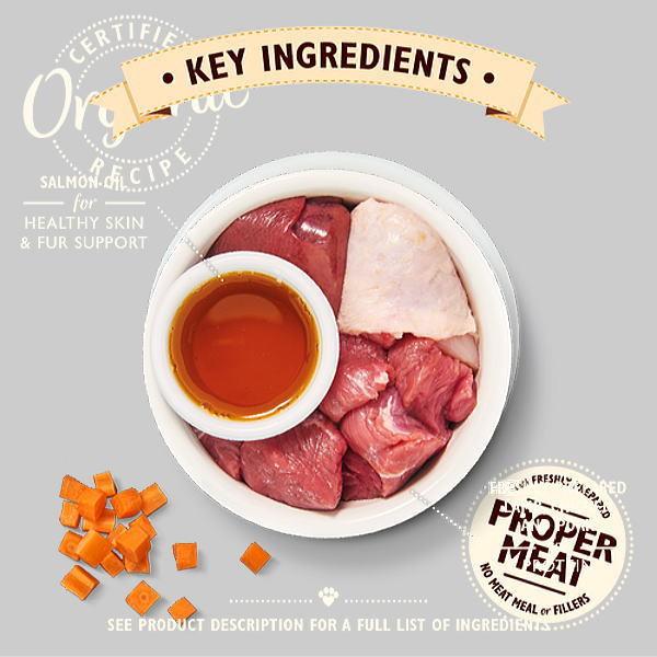 最短賞味2026.9・リリーズキッチン 猫 子羊のキャセロール・キャット85g×19個lic002cs（個別日本語ラベルなし） | LILY'S KITCHEN | 01