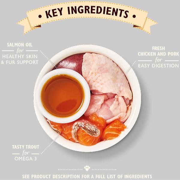 最短賞味2027.2・リリーズキッチン 猫 好奇心旺盛な子猫のチキンディナー85g×19個 lic005cs（個別日本語ラベルなし） | LILY'S KITCHEN | 04