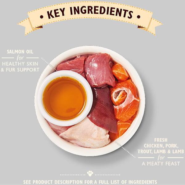 最短賞味2026.9・リリーズキッチン 猫 シニア用チキンの晩餐・キャット85g×19個lic006cs（個別日本語ラベルなし） | LILY'S KITCHEN | 03