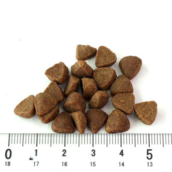 最短賞味2026.7.1・リリーズキッチン 猫 チキンキャセロール800g lic061成猫用ドライ穀物不使用キャットフード正規品 | LILY'S KITCHEN | 01