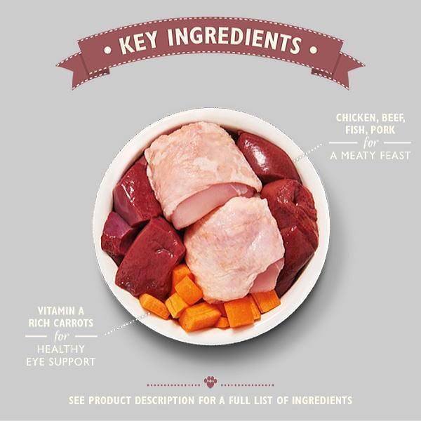 最短賞味2027.1・リリーズキッチン 猫 オーガニックチキンのディナー・キャット85g×19個 licb01cs（個別日本語ラベルなし） | LILY'S KITCHEN | 02