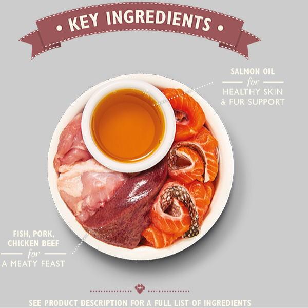 最短賞味2026.10・リリーズキッチン 猫 オーガニックフィッシュのディナー・キャット85g×19個 licb03cs（個別日本語ラベルなし） | LILY'S KITCHEN | 01