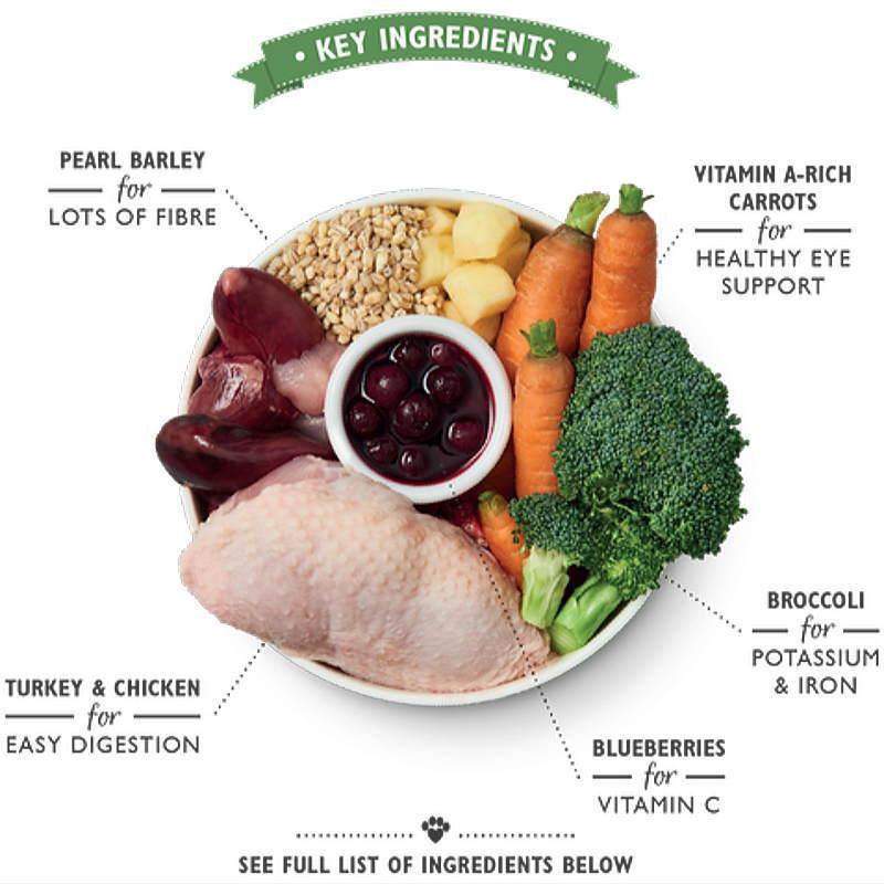 最短賞味2027.2・リリーズキッチン 犬 チキンとターキーのキャセロール・ドッグ 150g lid010成犬用ウェット 正規品 | LILY'S KITCHEN | 01