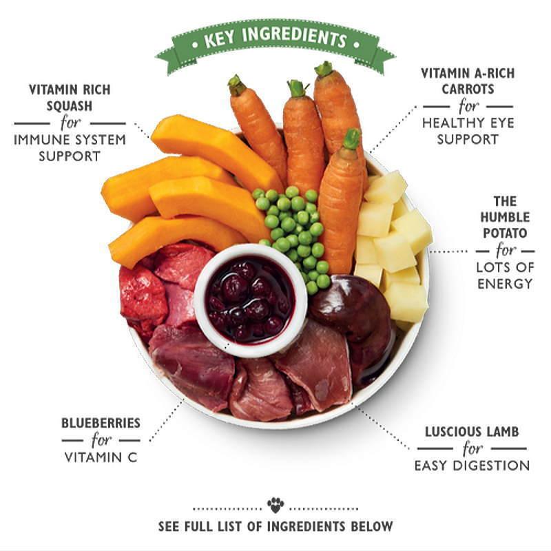 最短賞味2026.10・リリーズキッチン 犬 子羊のホットポット・ドッグ 150g×10個 lid012cs（個別日本語ラベルなし） | LILY'S KITCHEN | 01