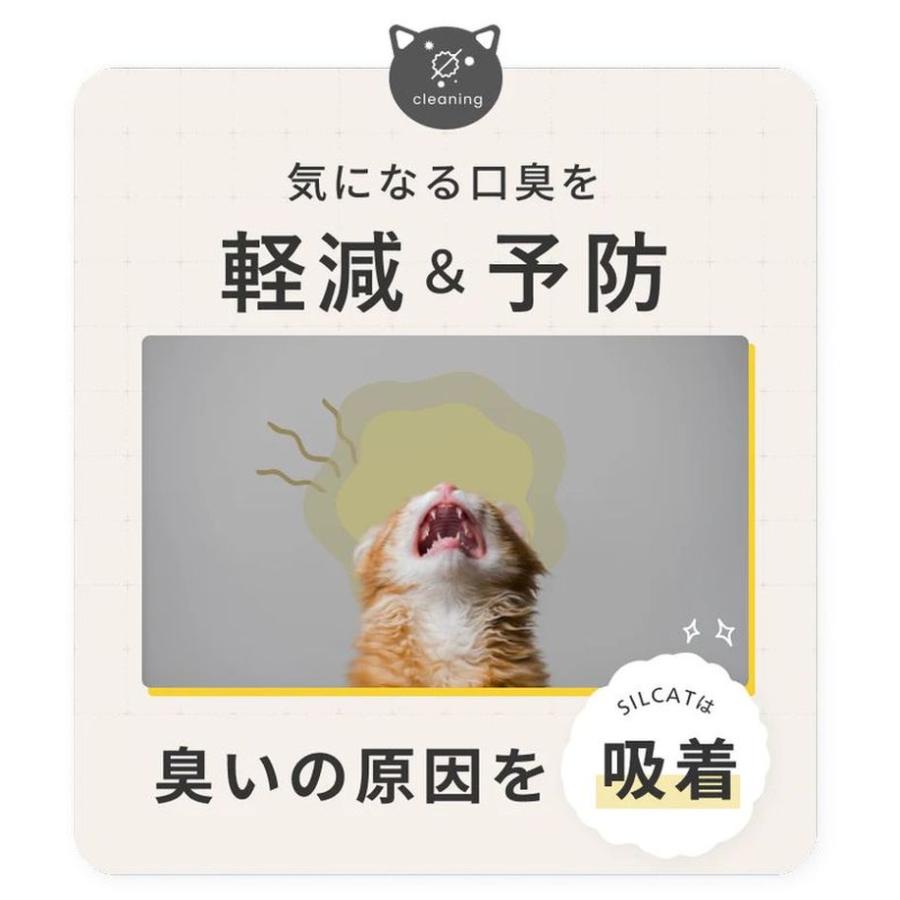 最短賞味2027.5・SILCAT シルクフル 猫用シルキャット 7包入 腎臓 腸内ケアサプリメント nnw10031 |  | 04
