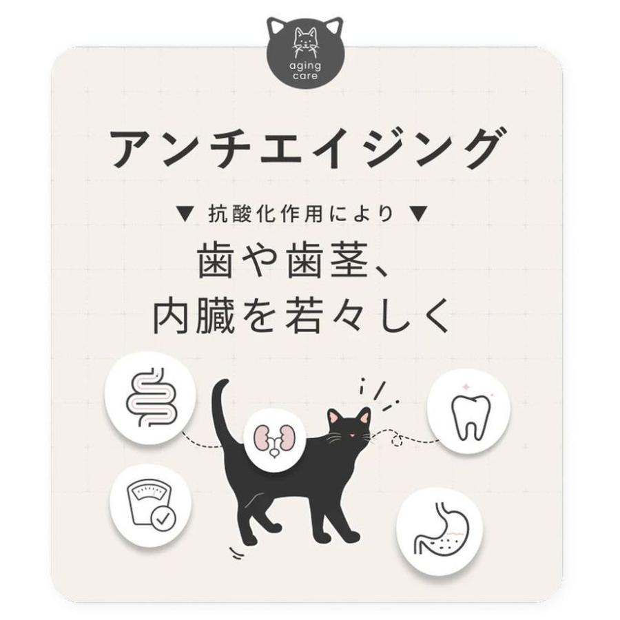 最短賞味2027.5・SILCAT シルクフル 猫用シルキャット 7包入 腎臓 腸内ケアサプリメント nnw10031 |  | 05