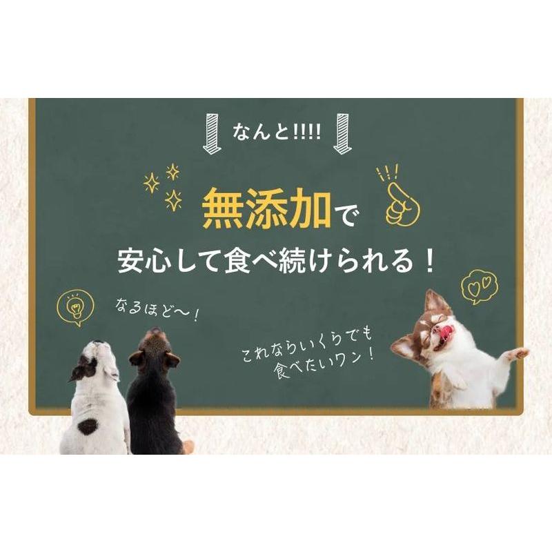 最短賞味2026.6・SILKFULL シルクフル 犬ウェットフード ビーフ味 100g×12個セット 犬用一般食ウェット 腎臓 腸内ケア nnw10185 |  | 10