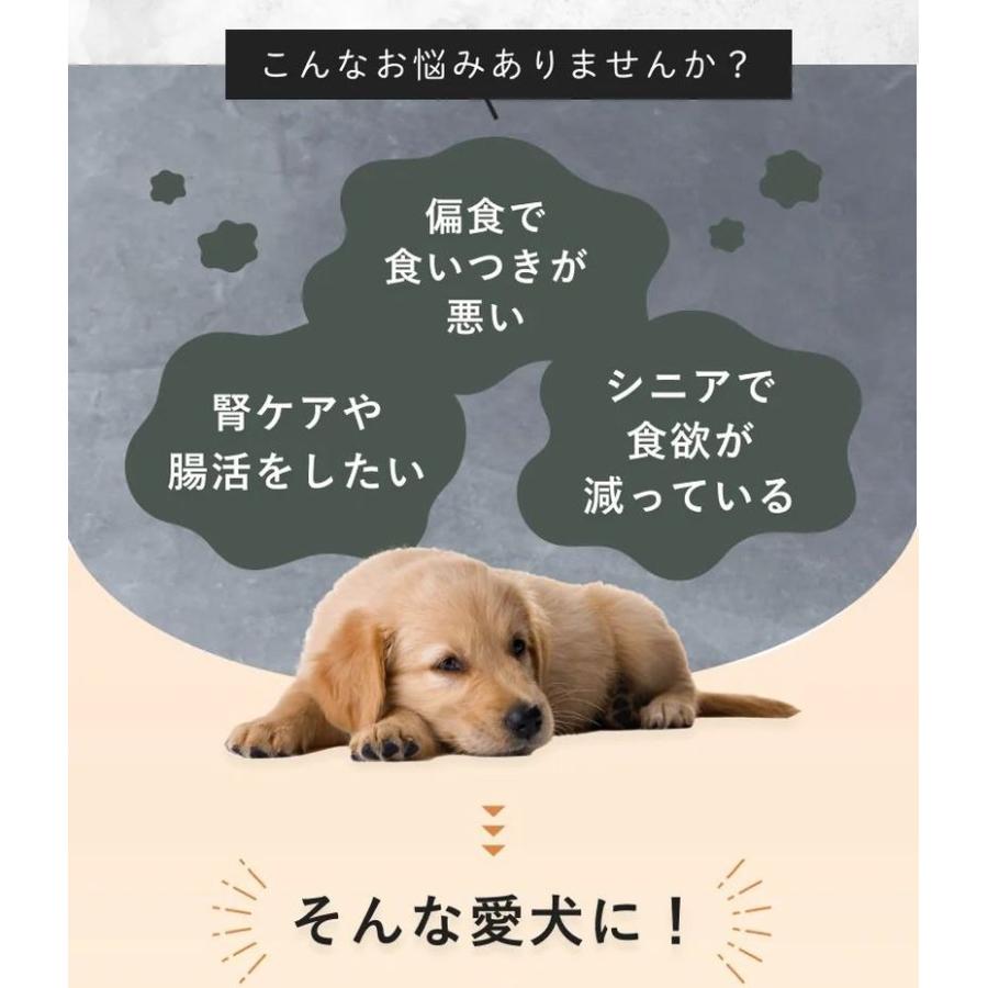 最短賞味2026.6・SILKFULL シルクフル 犬ウェットフード ビーフ味 100g×12個セット 犬用一般食ウェット 腎臓 腸内ケア nnw10185 |  | 03