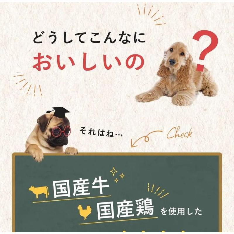 最短賞味2026.6・SILKFULL シルクフル 犬ウェットフード ビーフ味 100g×12個セット 犬用一般食ウェット 腎臓 腸内ケア nnw10185 |  | 08