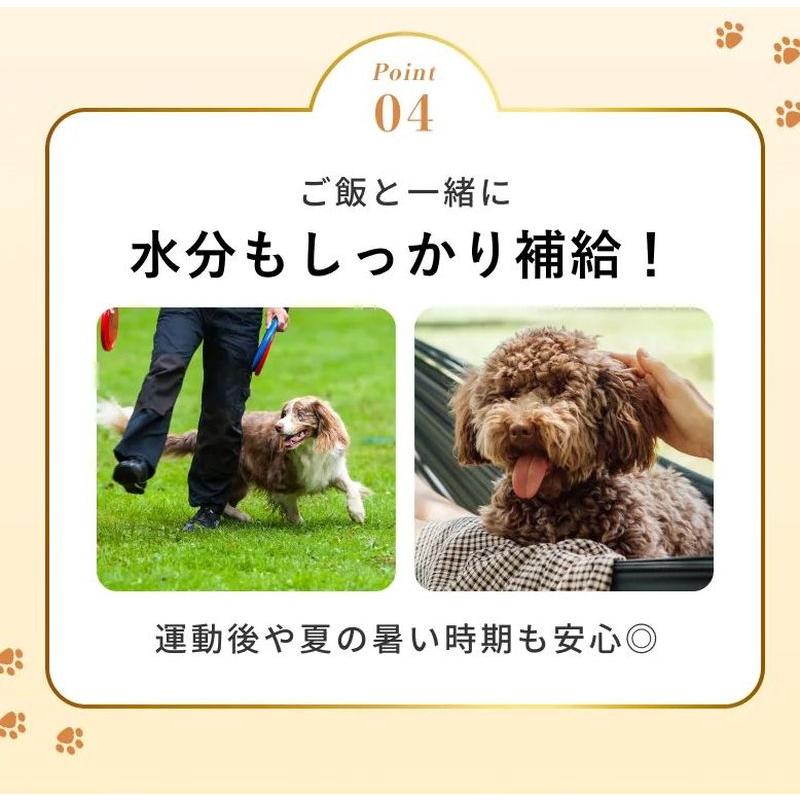 NEW 最短賞味2027.12・SILKFULL シルクフル 犬ウェットフード シカ味 100g 犬用一般食ウェット 腎臓 腸内ケア nnw10222 |  | 10