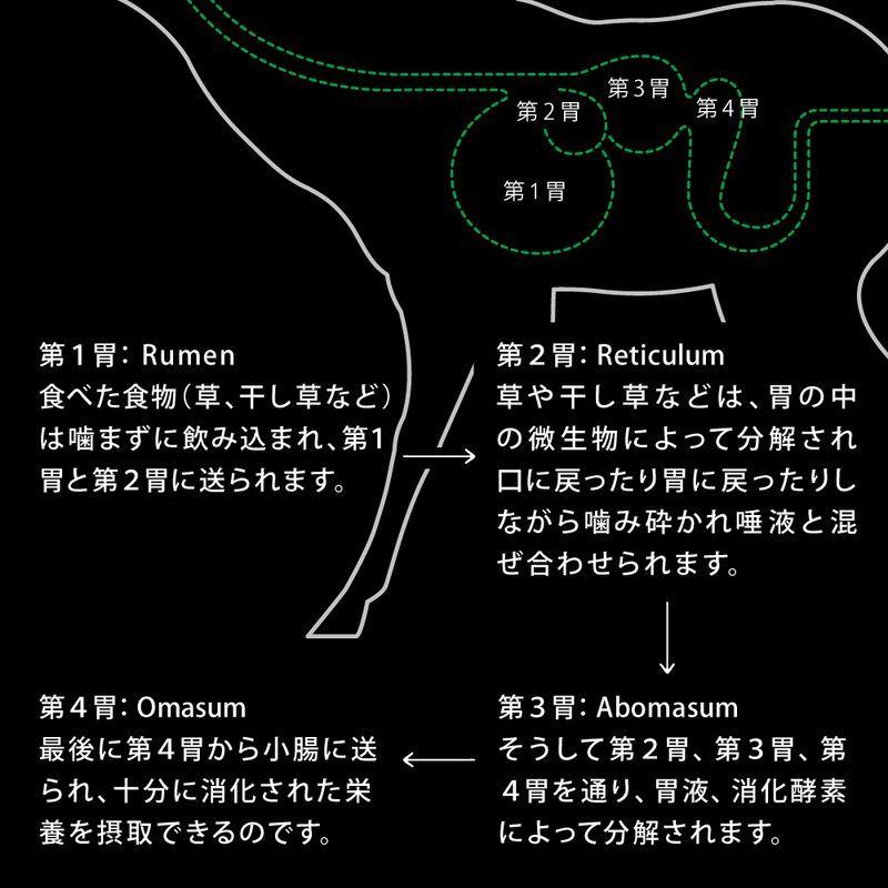 最短賞味2027.5・ニュートライプ エアードライ トリーツ ビーフ100g犬用おやつ正規品nu32956 | NUTRIPE | 04