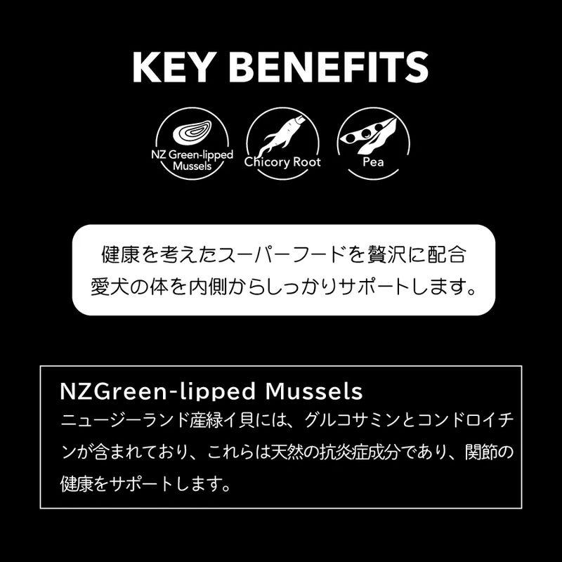 NEW 最短賞味2027.7・ニュートライプ エアードライ トリーツ チキン100g犬用おやつ正規品nu32970 | NUTRIPE | 07