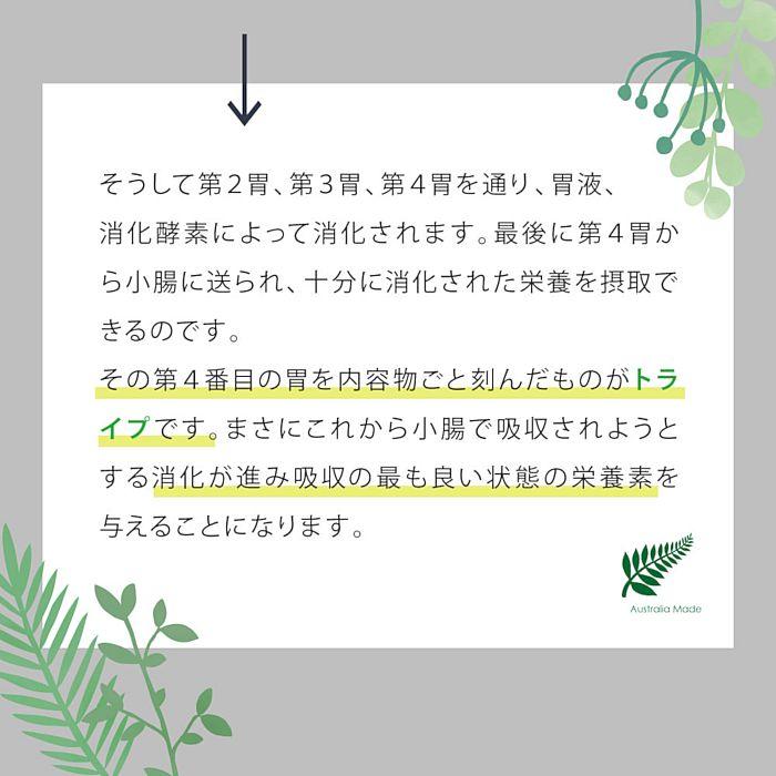 最短賞味2026.11・ニュートライプ 猫 サーモン＆チキン 1.8kg全年齢猫用グリーントライプ キャットフードnu35056 |  | 06