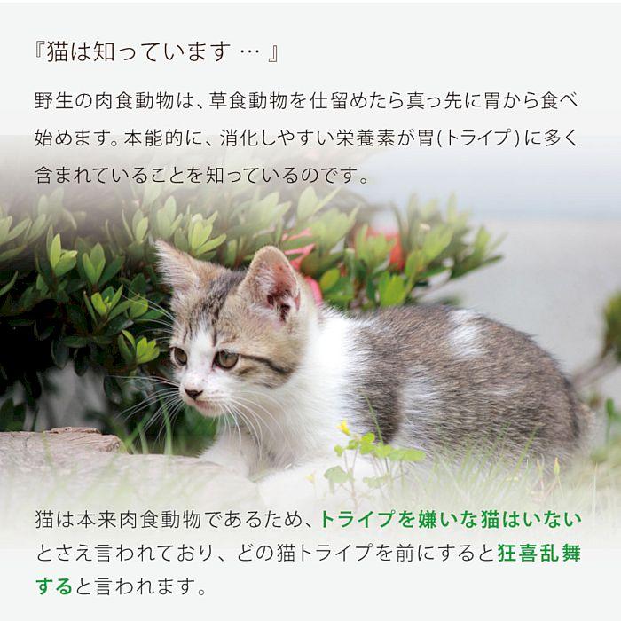 最短賞味2026.11・ニュートライプ 猫 サーモン＆チキン 1.8kg全年齢猫用グリーントライプ キャットフードnu35056 |  | 08