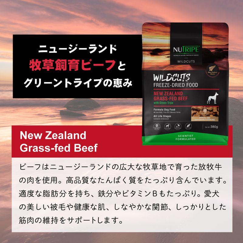 最短賞味2026.6.11・ニュートライプ ワイルドカット フリーズドライ ビーフwithグリーントライプ380g全年齢犬用ドライフード正規品nu35216 | NUTRIPE | 06