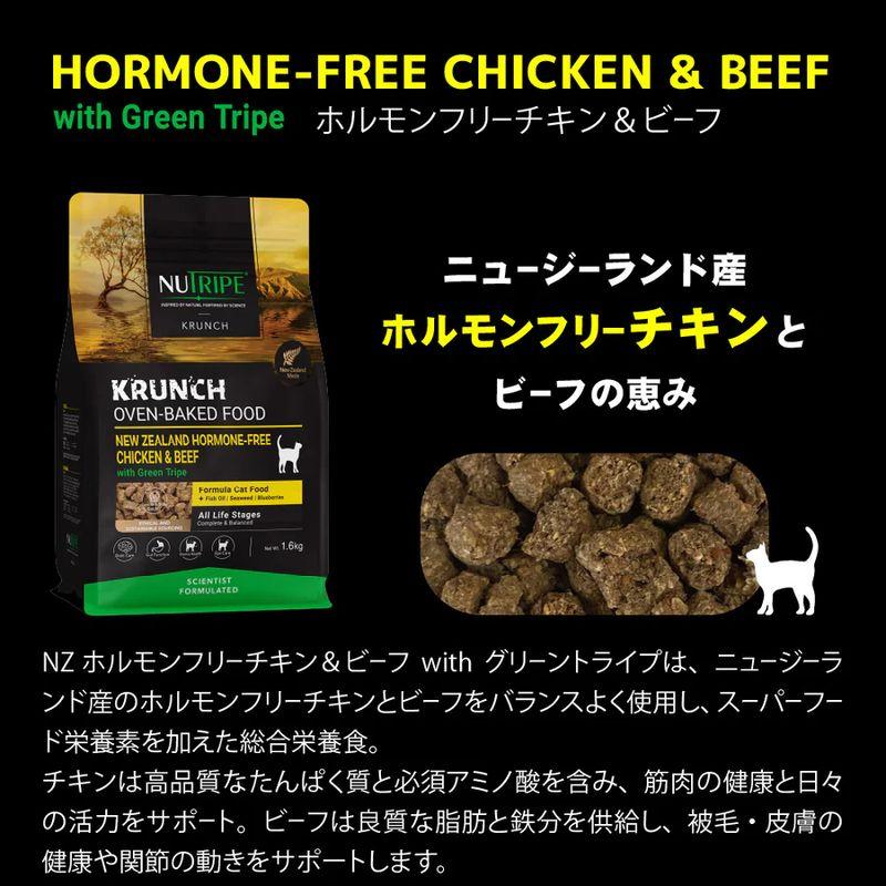 NEW SALE/最短賞味2028.1.27・ニュートライプ 猫 クランチ チキン＆ビーフwithグリーントライプ 30g全年齢猫用キャットフードnu36695 | NUTRIPE | 05