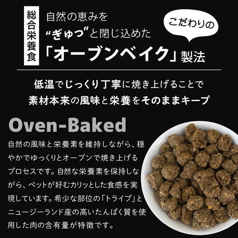 NEW SALE/最短賞味2028.2.9・ニュートライプ 猫 クランチ サーモン＆チキンwithグリーントライプ 30g全年齢猫用キャットフードnu36725 | NUTRIPE | 01