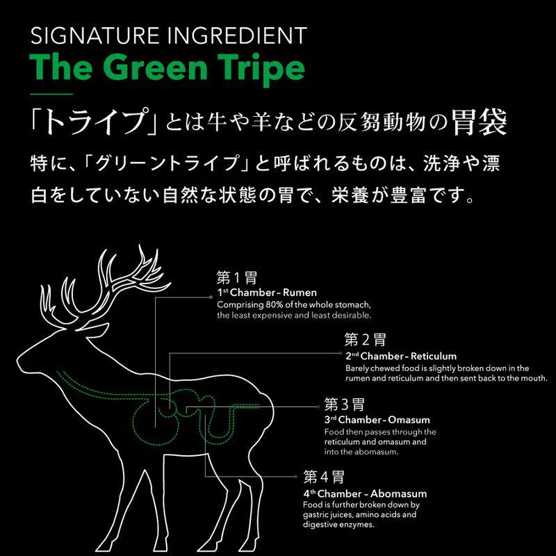 NEW SALE/最短賞味2028.2.9・ニュートライプ 猫 クランチ サーモン＆チキンwithグリーントライプ 30g全年齢猫用キャットフードnu36725 | NUTRIPE | 02