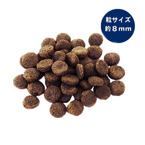 最短賞味2026.7・プロデン デンタルバイツ 犬 口腔ケア 歯垢＆歯石ケアpd13605 | プロデン | 01