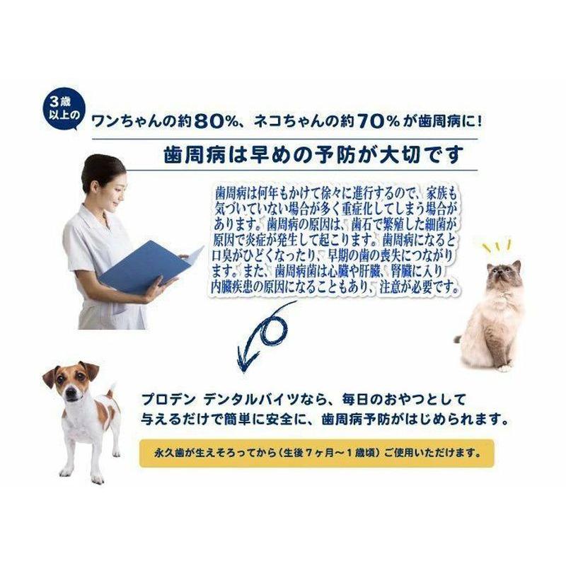 最短賞味2027.7・プロデン デンタルバイツ 犬 口腔ケア 歯垢＆歯石ケアpd13605 | プロデン | 06