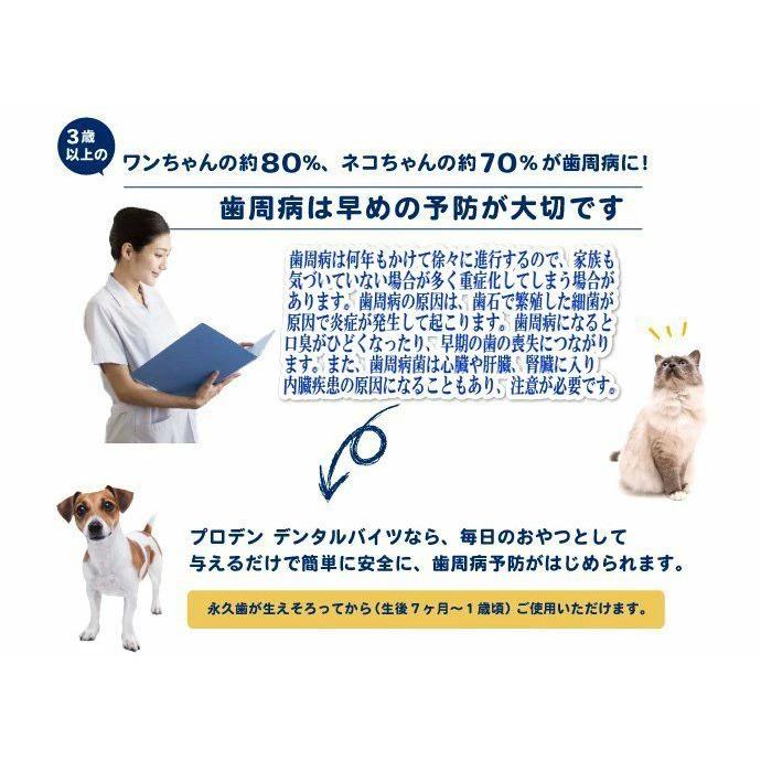 最短賞味2026.7・プロデン デンタルバイツ 猫 口臭・歯垢・歯石ケア pd13612 | プロデン | 06