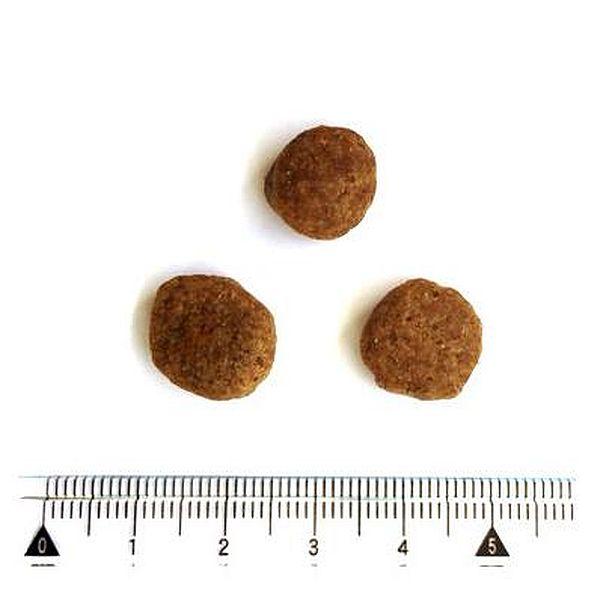 最短賞味2027.3.30・ペットカインド 犬 グリーントライプ＆ワイルドサーモン 230g 全年齢犬用トライプドライ 穀物不使用ドッグフードPetKind正規品pk03004 |  | 01