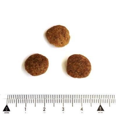 最短賞味2027.12.7・ペットカインド 犬 グリーンラムトライプ 11.34kgトライプドライ全年齢犬用PetKind正規品pk10002 | ペットカインド | 01