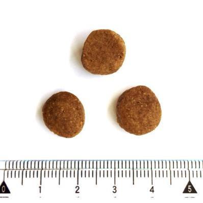 最短賞味2027.9.27・ペットカインド 犬グリーントライプ＆バイソン 11.34kg大袋 全年齢犬用トライプドライ 穀物不使用ドッグフードPetKind正規品pk30000 | ペットカインド | 01