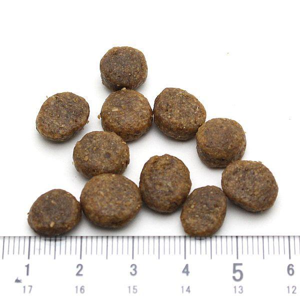 最短賞味2027.6.15・ペットカインド 犬 SAPグリーンビーフトライプ小粒230gトライプドライ全年齢犬用PetKind正規品pk93005 | ペットカインド | 01